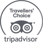 The image shows the TripAdvisor Travelers' Choice logo with owl eyes and the text "tripadvisor" underneath in gray.