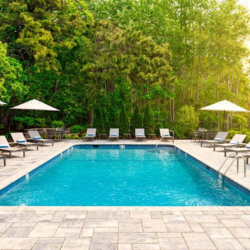 The image shows an outdoor swimming pool surrounded by lounge chairs and umbrellas, with trees in the background and sunlight filtering through.