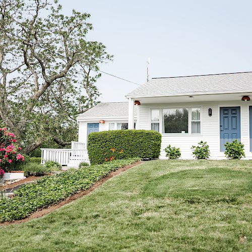 A white house with blue doors, a large green lawn, blooming pink flowers, and a leafy tree in the background.