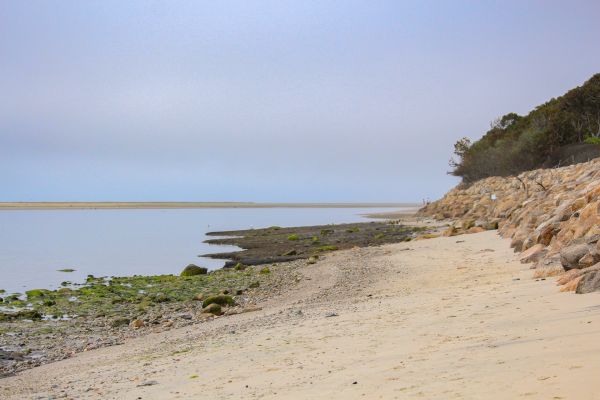 A serene beach scene with sandy shores, some rocks, and a calm body of water under a hazy sky.