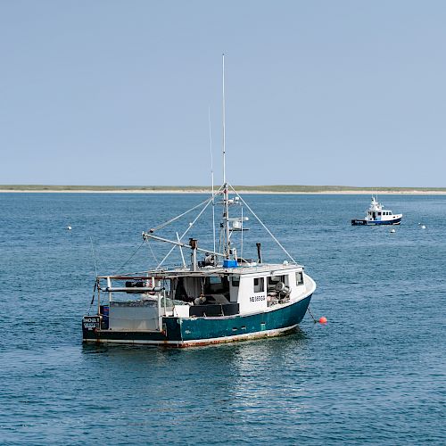 Two boats are floating on a calm sea with a distant shore and a clear blue sky in the background.