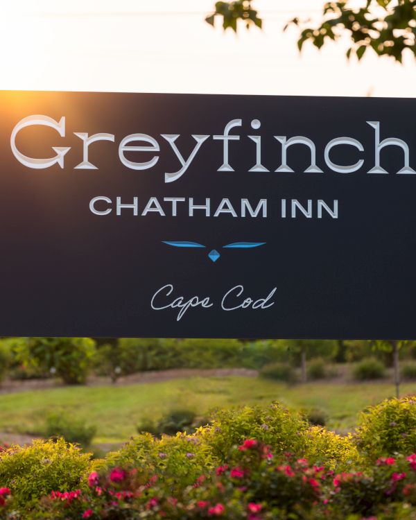 The image shows a sign reading "Greyfinch Chatham Inn Cape Cod," surrounded by greenery and flowers, suggesting it is near a landscaped area.